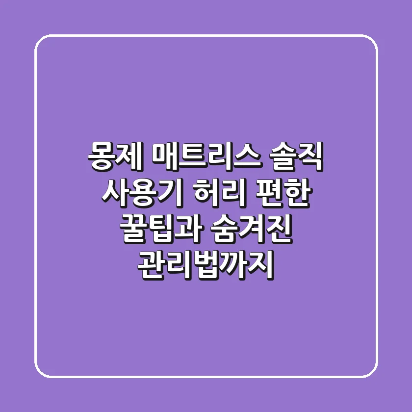 몽제 매트리스 솔직 사용기, 허리 편한 꿀팁과 숨겨진 관리법까지