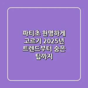 파티초 현명하게 고르기: 2025년 트렌드부터 숨은 팁까지