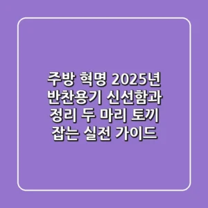 주방 혁명! 2025년 반찬용기, 신선함과 정리 두 마리 토끼 잡는 실전 가이드