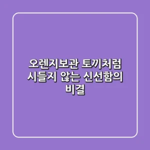 오렌지보관 토끼처럼: 시들지 않는 신선함의 비결