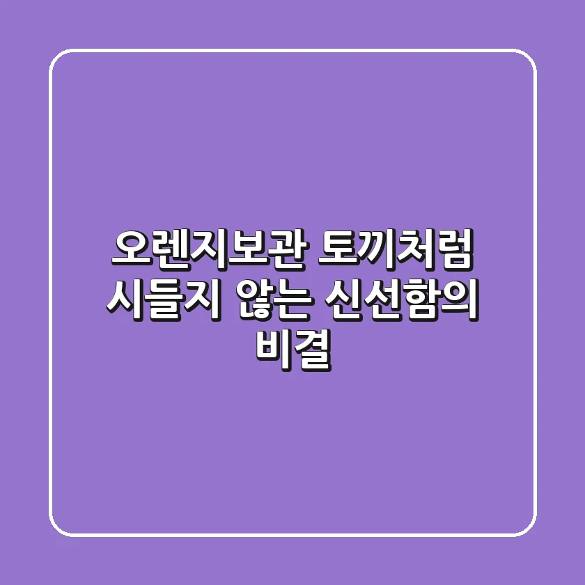 오렌지보관 토끼처럼: 시들지 않는 신선함의 비결