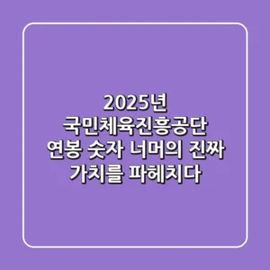 2025년 국민체육진흥공단 연봉, 숫자 너머의 진짜 가치를 파헤치다