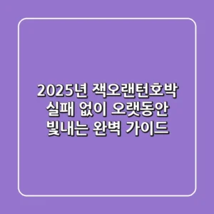 2025년 잭오랜턴호박, 실패 없이 오랫동안 빛내는 완벽 가이드