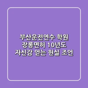 부산운전연수 학원, 장롱면허 10년도 자신감 얻는 현실 조언