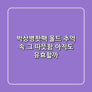박상병핫팩 올드: 추억 속 그 따뜻함, 아직도 유효할까?