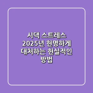 시댁 스트레스? 2025년 현명하게 대처하는 현실적인 방법