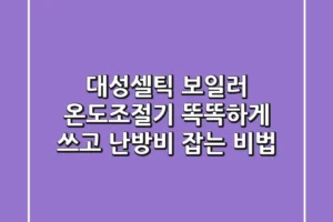 대성셀틱 보일러 온도조절기, 똑똑하게 쓰고 난방비 잡는 비법