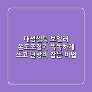대성셀틱 보일러 온도조절기, 똑똑하게 쓰고 난방비 잡는 비법