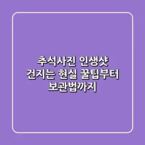 추석사진, 인생샷 건지는 현실 꿀팁부터 보관법까지