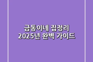 금동이네 집정리, 2025년 완벽 가이드