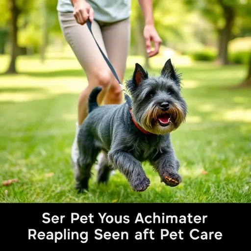 4.슈나우져 이란과의 삶: 예상치 못한 복병과 전문가의 역할