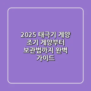 2025 태극기 게양: 조기 게양부터 보관법까지 완벽 가이드