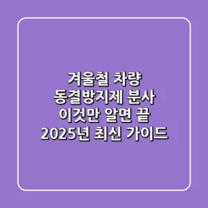겨울철 차량 동결방지제 분사, 이것만 알면 끝! 2025년 최신 가이드
