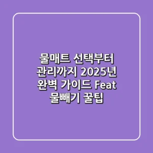 물매트 선택부터 관리까지: 2025년 완벽 가이드 (Feat. 물빼기 꿀팁!)