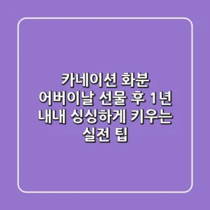 카네이션 화분, 어버이날 선물 후 1년 내내 싱싱하게 키우는 실전 팁