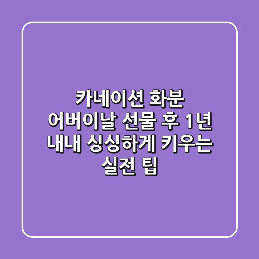 카네이션 화분, 어버이날 선물 후 1년 내내 싱싱하게 키우는 실전 팁