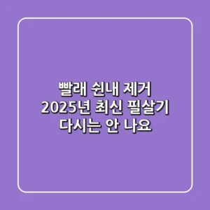 빨래 쉰내 제거, 2025년 최신 필살기: 다시는 안 나요!
