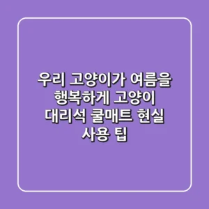 우리 고양이가 여름을 행복하게? 고양이 대리석 쿨매트 현실 사용 팁