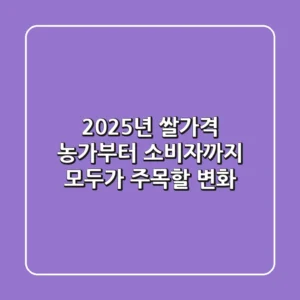 2025년 쌀가격, 농가부터 소비자까지 모두가 주목할 변화