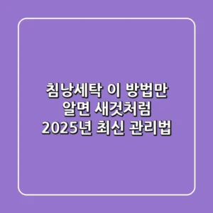 침낭세탁, 이 방법만 알면 새것처럼! 2025년 최신 관리법