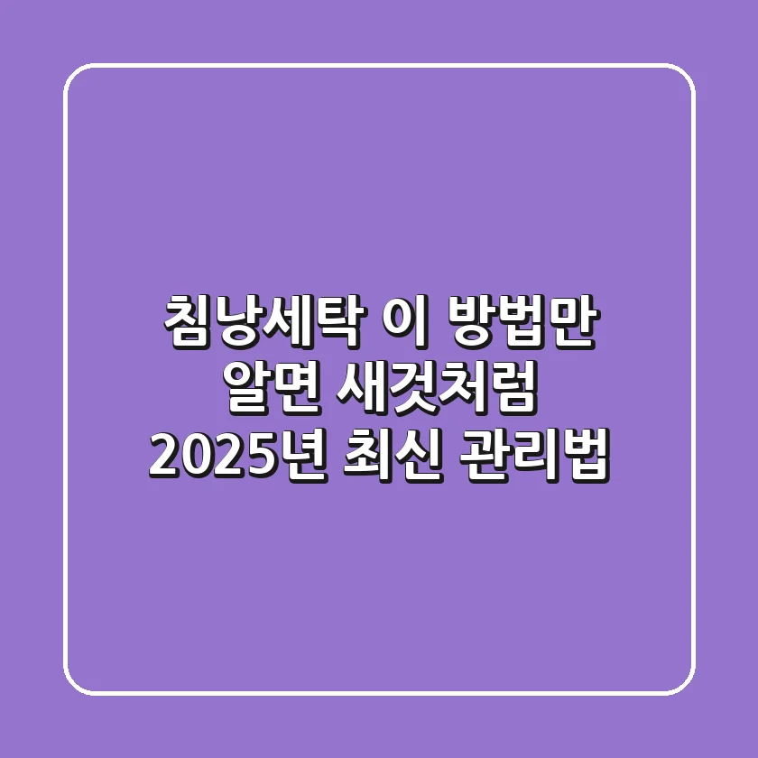 침낭세탁, 이 방법만 알면 새것처럼! 2025년 최신 관리법