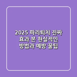 2025 파리퇴치, 진짜 효과 본 현실적인 방법과 예방 꿀팁