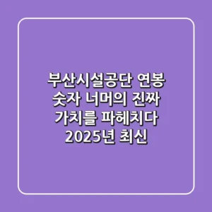 부산시설공단 연봉, 숫자 너머의 진짜 가치를 파헤치다 (2025년 최신)