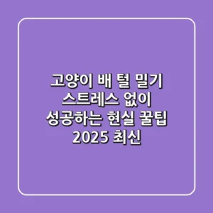 고양이 배 털 밀기, 스트레스 없이 성공하는 현실 꿀팁 (2025 최신)
