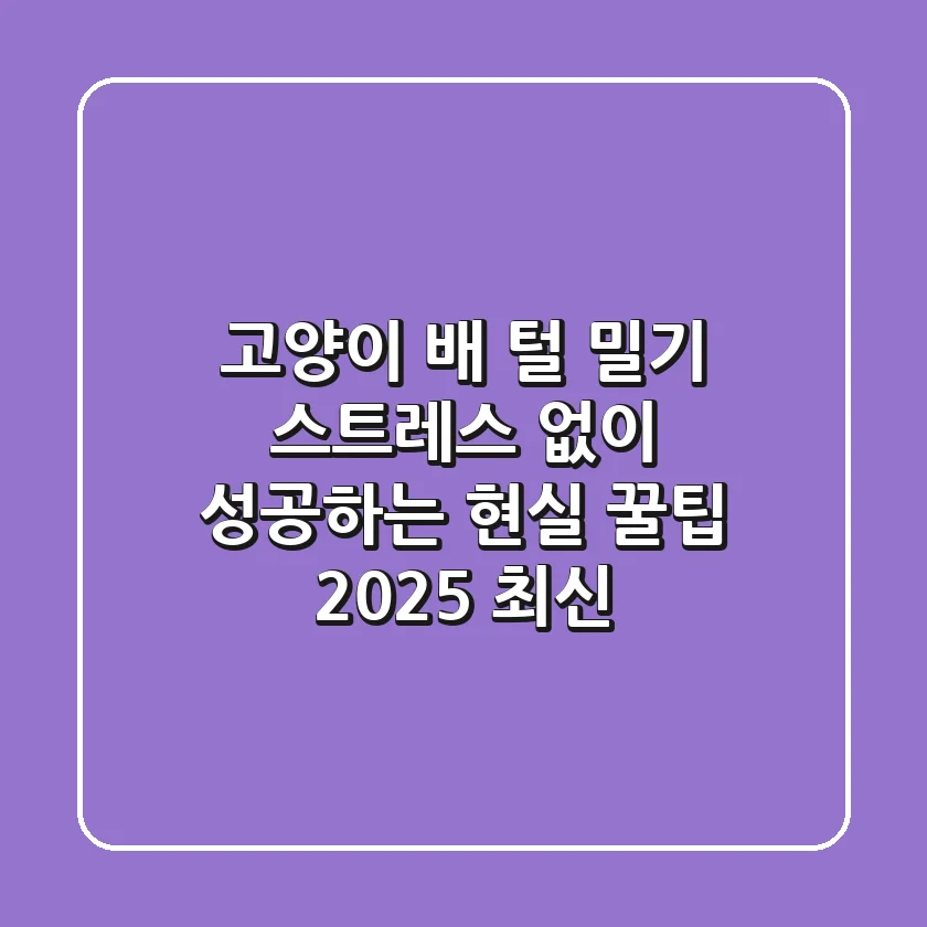 고양이 배 털 밀기, 스트레스 없이 성공하는 현실 꿀팁 (2025 최신)