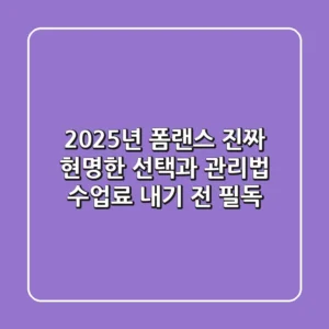 2025년 폼랜스, 진짜 현명한 선택과 관리법 (수업료 내기 전 필독)