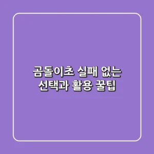 곰돌이초, 실패 없는 선택과 활용 꿀팁