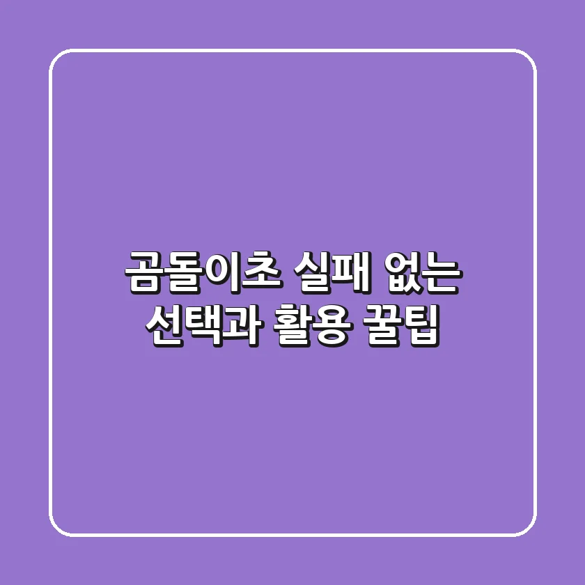 곰돌이초, 실패 없는 선택과 활용 꿀팁