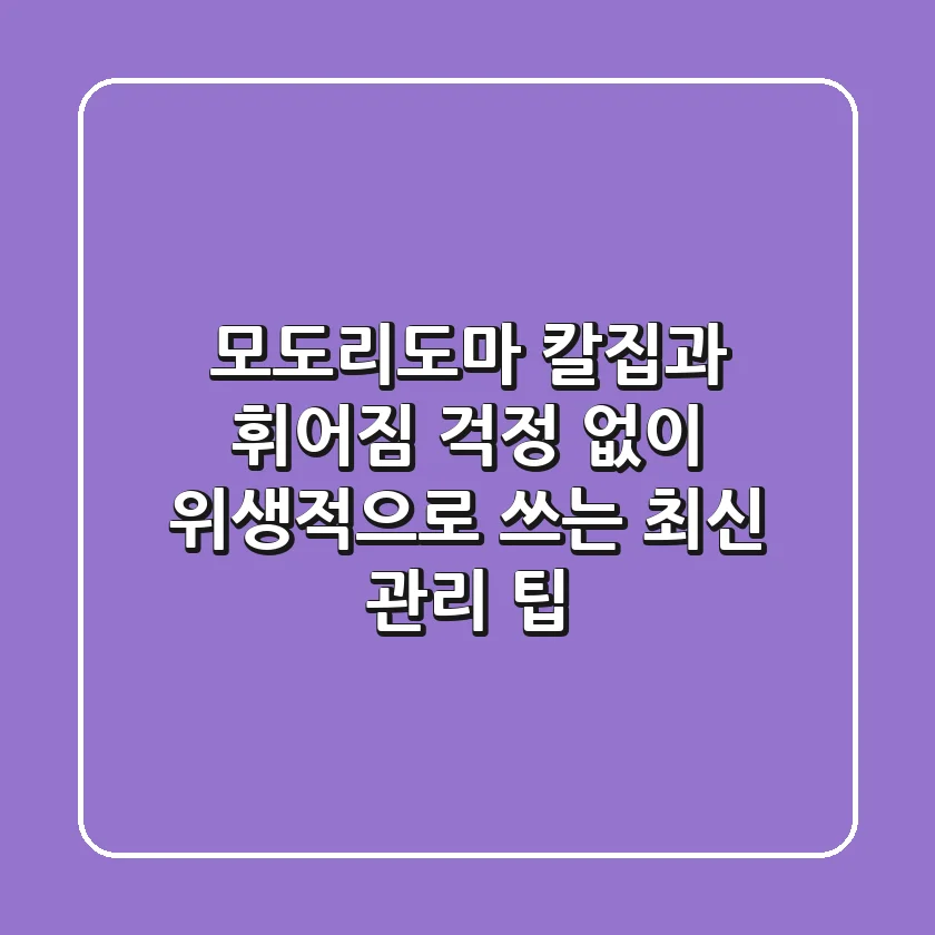 모도리도마, 칼집과 휘어짐 걱정 없이 위생적으로 쓰는 최신 관리 팁