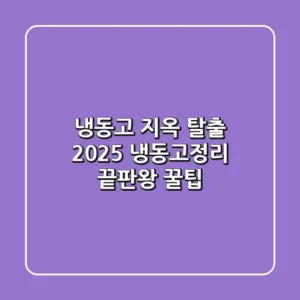 냉동고 지옥 탈출! 2025 냉동고정리 끝판왕 꿀팁