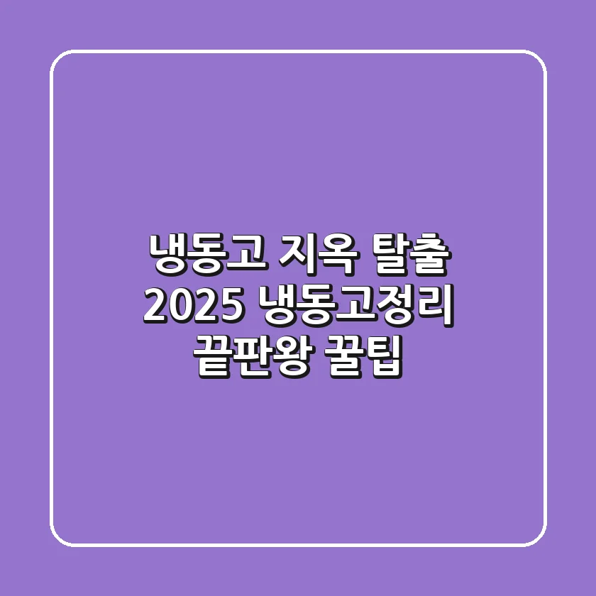 냉동고 지옥 탈출! 2025 냉동고정리 끝판왕 꿀팁