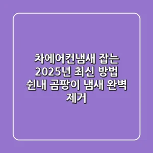 차에어컨냄새 잡는 2025년 최신 방법: 쉰내, 곰팡이 냄새 완벽 제거